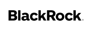 Read more about the article BlackRock Frontiers Investment Trust plc