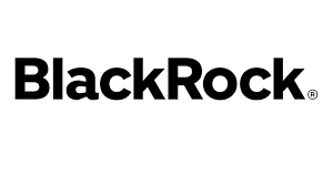 Read more about the article BlackRock Smaller Companies Trust