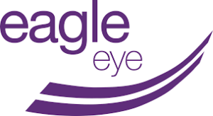 Read more about the article Eagle Eye Solutions Group plc
