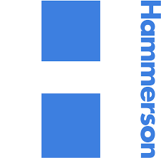 Read more about the article Hammerson plc