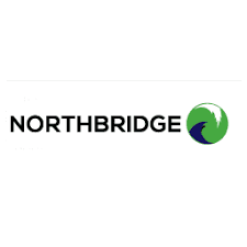 You are currently viewing Northbridge Industrial Services plc