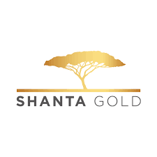 Read more about the article Shanta Gold Limited